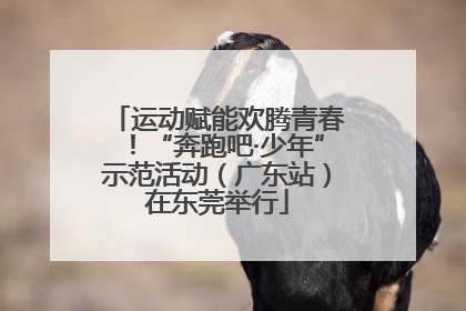 运动赋能欢腾青春！“奔跑吧·少年”示范活动（广东站）在东莞举行